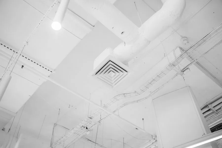 image-9.jpg