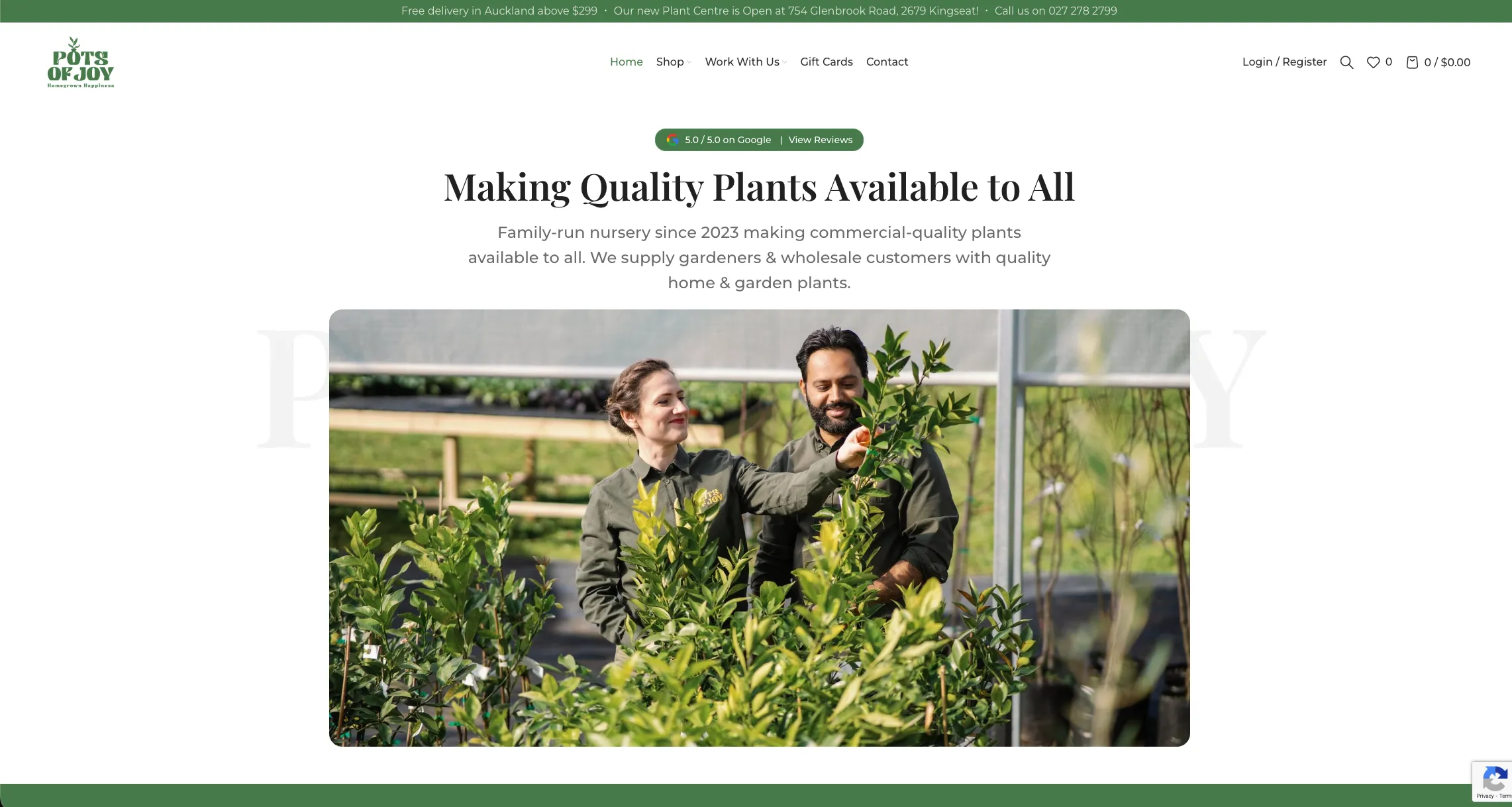 Pots of Joy: retail and wholesale plants ordered online case study